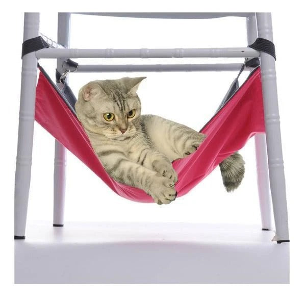 Cat Hammock, Bed & Blanket