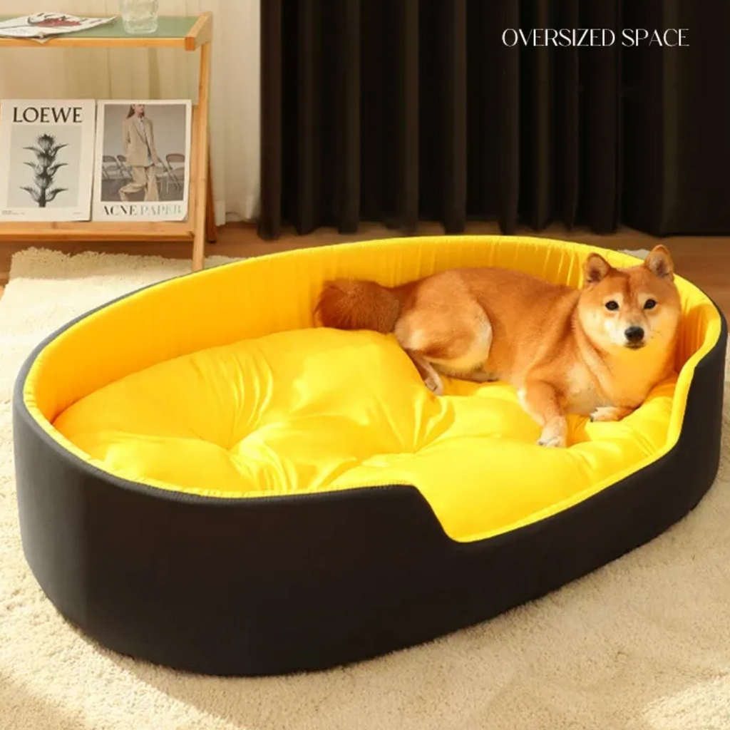 Pet Nest Bed & Mat