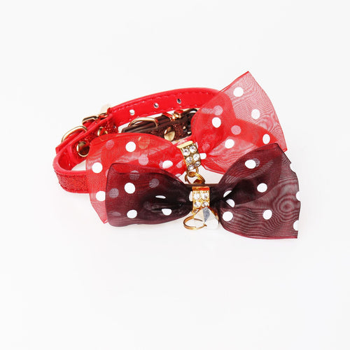 Bright Colors Pet Collar