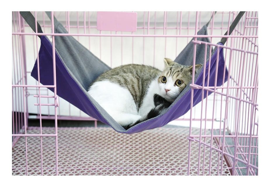 Cat Hammock, Bed & Blanket