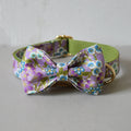 Purple Zephyr Collar and Leash Set