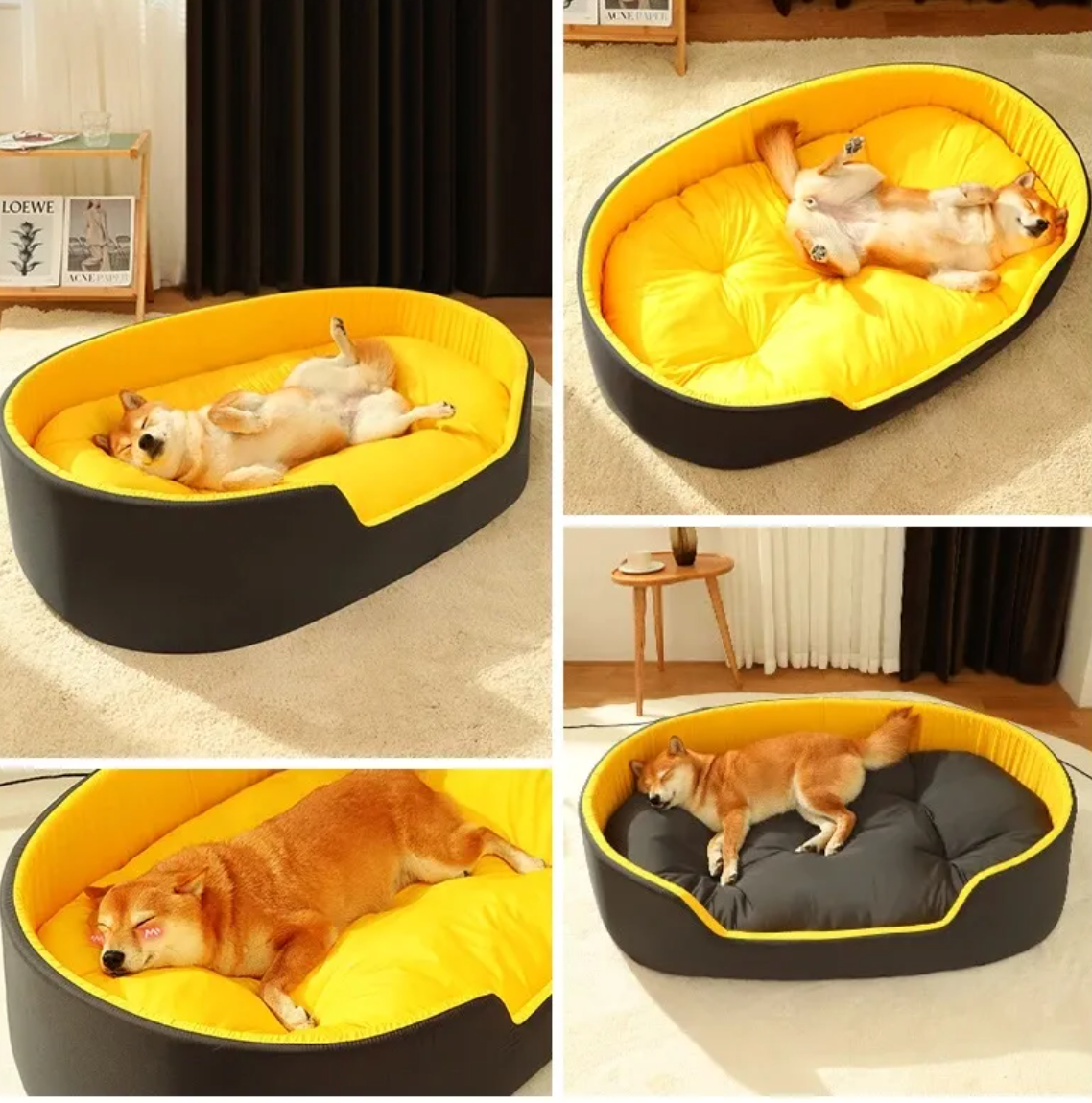 Pet Nest Bed & Mat