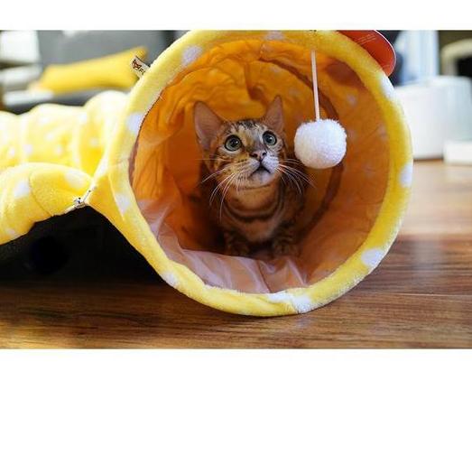 Cat Tunnel & Sleeping Bag
