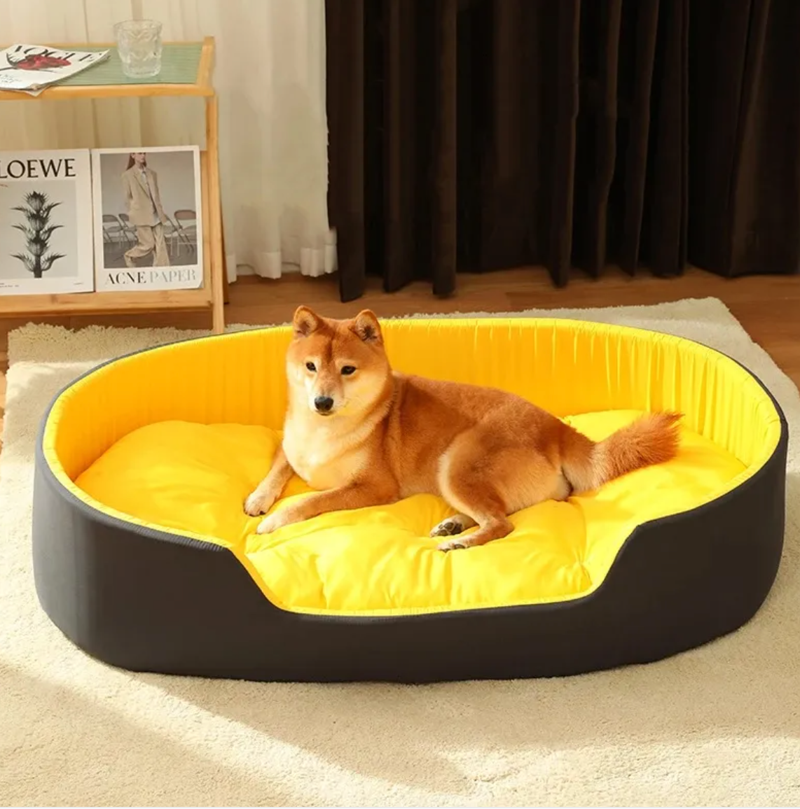 Pet Nest Bed & Mat