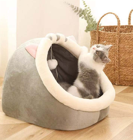 Cat Half Open Condo