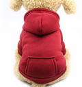 Winter Pet Hoodie